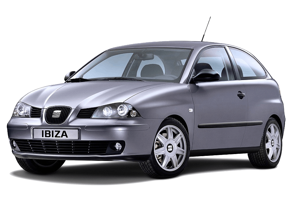 Сеат (SEAT) Ibiza III хэтчбек